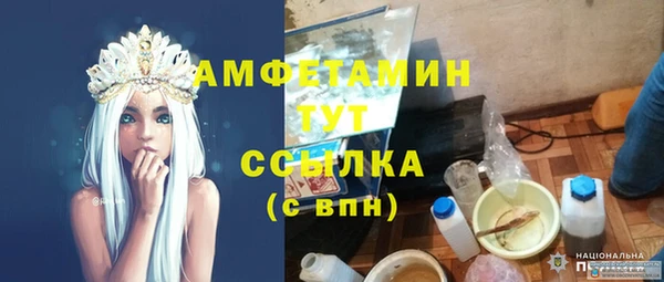 молекула духа Алексеевка