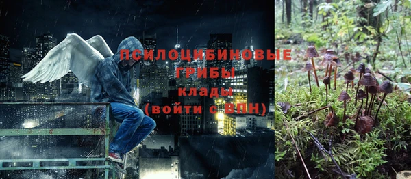 прущие грибы Алексин