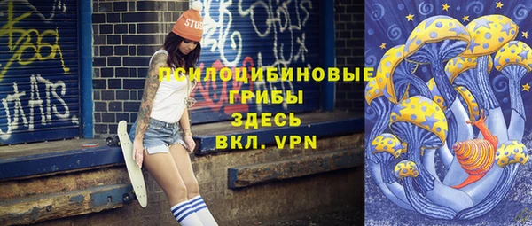 молекула духа Алексеевка