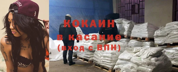 дживик Елабуга