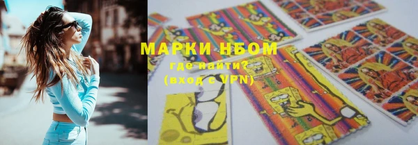 прущие грибы Алексин