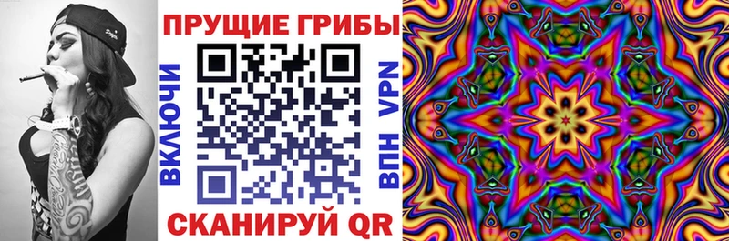 Галлюциногенные грибы Psilocybine cubensis  Сольвычегодск 